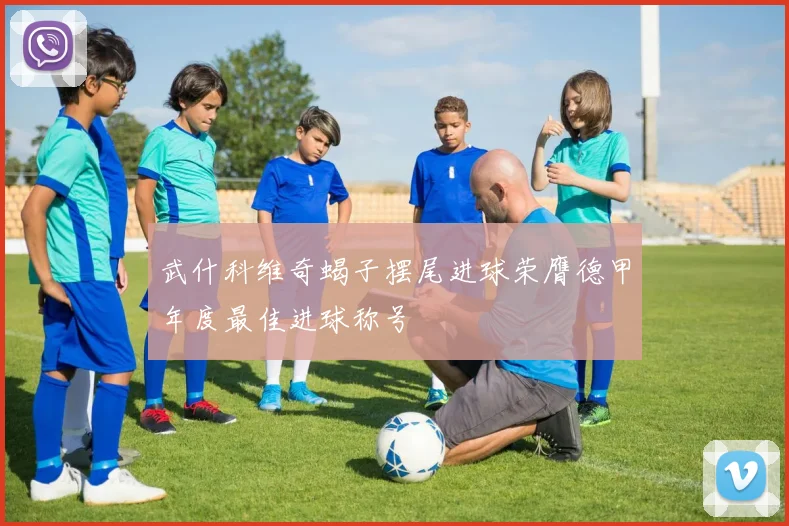 武什科维奇蝎子摆尾进球荣膺德甲年度最佳进球称号